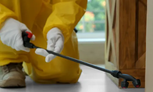 Pest Control Wilmington Delaware