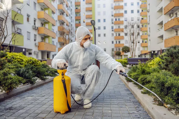 Elkton Pest Control Services