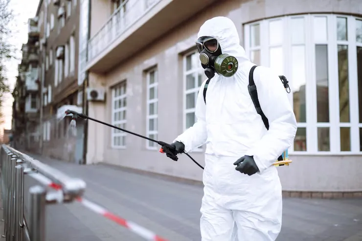 Elkton Pest Control Services - Click it fix