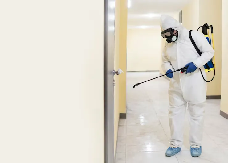 Pest Control Philadelphia