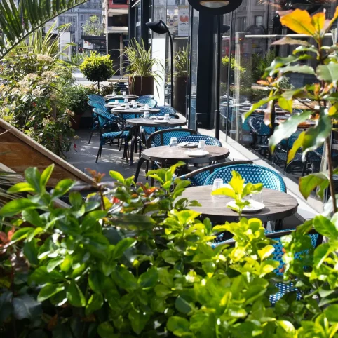 imgi_124_Fallow_Terrace_May_2024_006.jpg