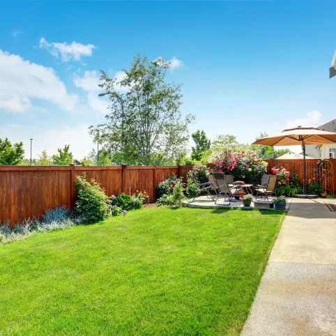 imgi_68_backyard-stock